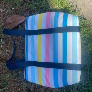 Striped Cooler Insulated Multi-Color Vacation Bag